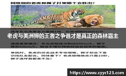 老虎与美洲狮的王者之争谁才是真正的森林霸主