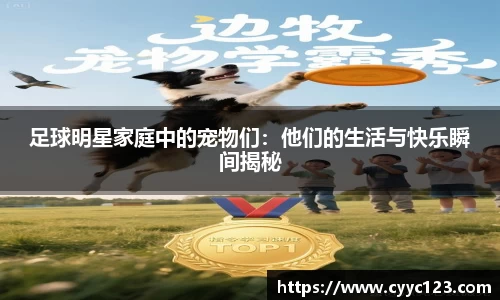 芒果体育官方网站